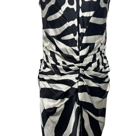 Dior designed by Galliano Black & White silk zebra print midi dress 2008 Size 2 - Picture 9 of 13